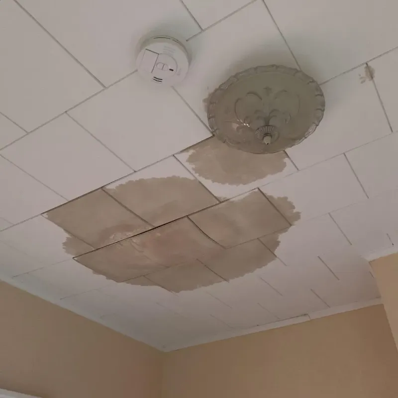 Ceiling Water Damage Repair in Shorewood, MN