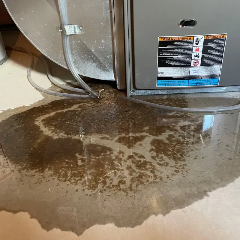 Pipe Burst and Leak Restoration in Shorewood, MN